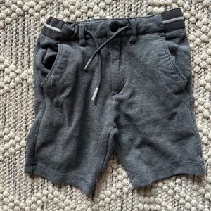 ZARA Dressy Shorts